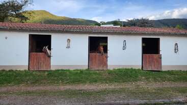 Um estábulo branco com três portas de madeira, dois cavalos olhando para fora. Grama verde, caminho de terra, montanhas e um céu azul parcialmente nublado ao fundo. Uma cena tranquila.