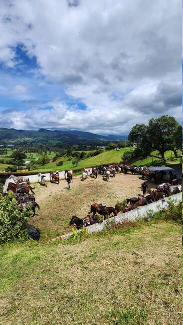 Un grupo de caballos ensillados se encuentra en un recinto vallado situado en una ladera cubierta de hierba, rodeado de exuberantes paisajes verdes y montañas bajo un cielo parcialmente nublado.