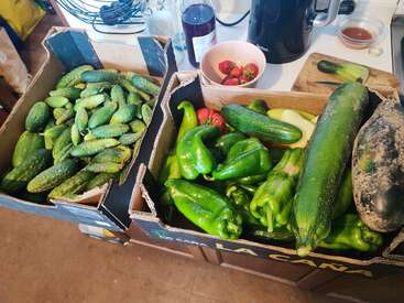 Two boxes of fresh vegetables sit on a kitchen counter: cucumbers, green peppers, zucchinis, a few tomatoes, and a bowl of strawberries nearby.