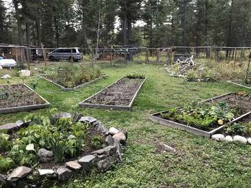 The image depicts a serene garden with raised beds, featuring lush greenery and a variety of plants, surrounded by a fence and situated in a wooded area.