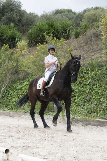 Uma pessoa usando um capacete monta um majestoso cavalo escuro em uma arena de areia ao ar livre, cercada por arbustos e árvores verdes, mostrando um momento equestre.
