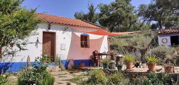 Um charmoso chalé rural com paredes brancas e azuis, um telhado de telhas vermelhas, plantas de jardim, mobília externa, um guarda-sol e árvores no campo ensolarado e tranquilo.