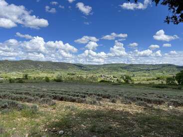 Unter einem strahlend blauen Himmel mit weißen Schäfchenwolken erstreckt sich ein weites, grünes Tal, das von Hügeln und Feldern begrenzt wird und Ruhe und natürliche Schönheit ausstrahlt.