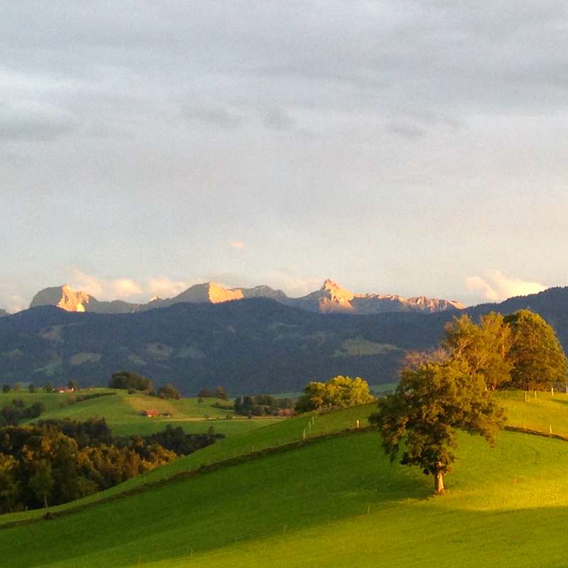 L'image représente un paysage serein composé de collines ondulantes, d'arbres et d'une majestueuse chaîne de montagnes au loin, baignée d'une chaude lumière solaire.