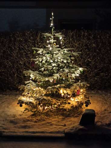 Ein schneebedeckter Weihnachtsbaum steht nachts im Freien, geschmückt mit leuchtenden weißen Lichterketten und Ornamenten, die eine warme, festliche Atmosphäre in einem winterlichen Garten schaffen.