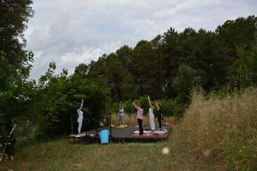 A group of people practice yoga outdoors on a wooden platform, surrounded by lush greenery, tall grass, and trees under a cloudy sky, creating a serene atmosphere.