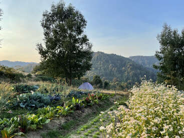 The image depicts a serene garden scene with a variety of plants and flowers, set against a backdrop of rolling hills and trees under a clear blue sky.