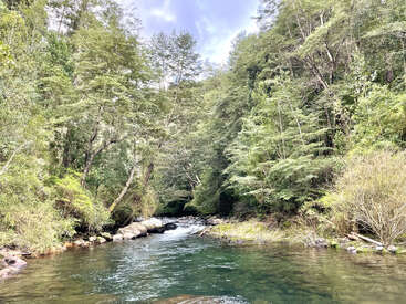 The image depicts a serene river flowing through a lush forest, with a small waterfall and rocks lining the riverbank, surrounded by vibrant greenery.
