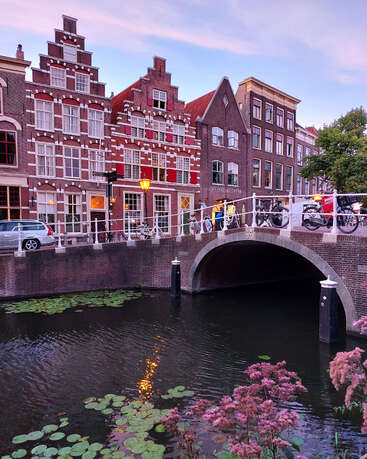 The image depicts a serene canal scene in Amsterdam, featuring a bridge, brick buildings, and a tranquil waterway lined with lily pads and vibrant flowers.