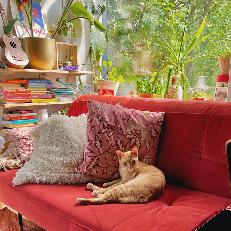 The image depicts a cozy room with a red couch, a cat, and various plants, featuring a bookshelf and a window with a view of trees outside.