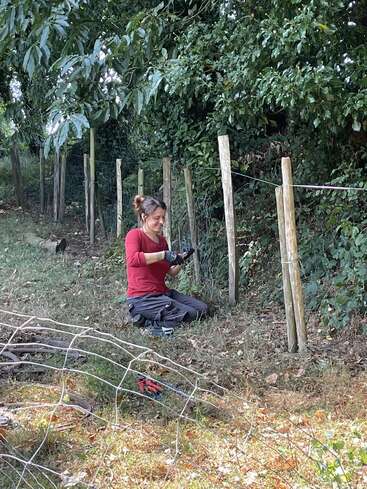 Eine Frau mit rotem Hemd und Handschuhen kniet im Gras und arbeitet daran, einen Drahtzaun neben Holzpfosten in einem Waldgebiet zu errichten oder zu reparieren.