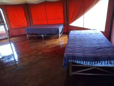 This image shows the interior of a tent with two single beds covered in blue blankets, polished wooden floor, and orange fabric walls, creating a cozy atmosphere.