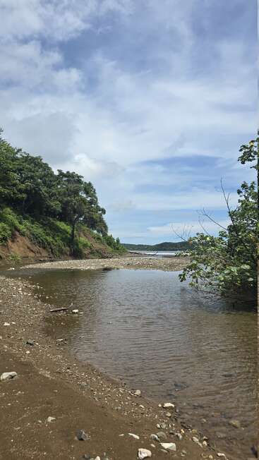 Eine ruhige Flussszene mit ruhigem Wasser, einem sandigen und felsigen Ufer, üppigen grünen Bäumen und einem strahlend blauen Himmel mit vereinzelten weißen Wolken. Friedliche Natur.