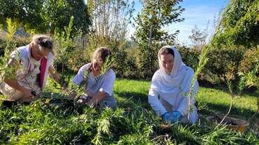 Drei Frauen pflanzen junge Bäume in einem grünen, sonnenbeschienenen Garten. Umgeben von üppigem Laub, arbeiten sie friedlich zusammen, pflegen die Natur und genießen die freie Natur.