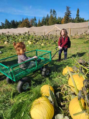 Two children enjoy a sunny day at a pumpkin patch. One sits in a green wagon while the other pulls it, surrounded by pumpkins and greenery.