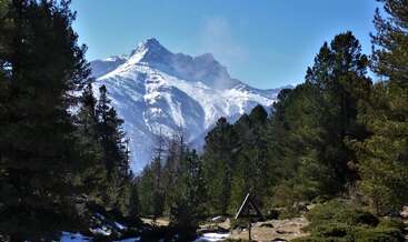 Une majestueuse montagne enneigée s'élève à l'arrière-plan, entourée d'arbres luxuriants à feuilles persistantes sous un ciel bleu clair. Un panneau en bois se dresse au milieu de taches de neige éparses.