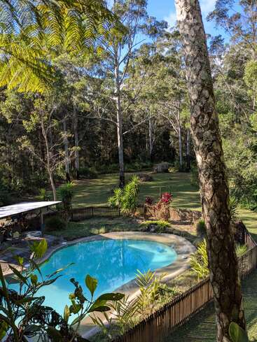 This image shows a serene backyard with a light-blue swimming pool, surrounded by a wooden fence, lush greenery, tall trees, and a partially shaded sitting area.