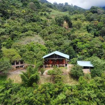 Una casa con el tejado azul se encuentra enclavada en un frondoso y denso bosque en la ladera de una colina, flanqueada por dos construcciones más pequeñas y rodeada de una exuberante vegetación tropical.