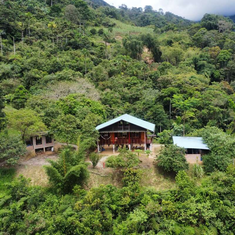 Una casa con el tejado azul se encuentra enclavada en un frondoso y denso bosque en la ladera de una colina, flanqueada por dos construcciones más pequeñas y rodeada de una exuberante vegetación tropical.