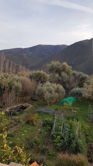 A lush green garden with various plants, trees, and protective netting sits in the foreground, surrounded by mountains under a partly cloudy sky. Peaceful atmosphere.