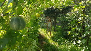 A young girl stands in a lush, green garden tunnel filled with hanging melons and vines, bathed in dappled sunlight, creating a peaceful, natural scene.