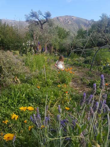 A young girl is standing in a lush, colorful garden filled with wildflowers, surrounded by trees and mountains under a clear blue sky. Peaceful nature.