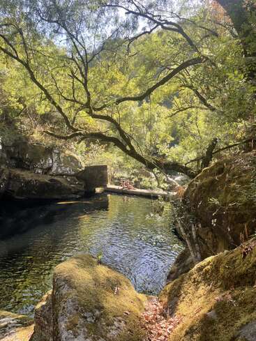 La luz del sol se filtra a través de frondosos árboles verdes sobre un apacible estanque en el bosque. Rocas cubiertas de musgo rodean el agua, mientras dos personas se relajan en la orilla más alejada.
