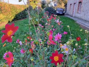 Un colorido jardín de flores bordea un camino cubierto de hierba junto a una casa de piedra. Un coche está aparcado junto a unos arbustos, bajo la cálida luz del sol del atardecer.