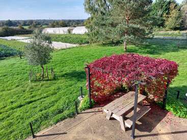 Una mesa de picnic bajo una pérgola de vibrantes hojas rojas en un exuberante jardín verde, rodeado de árboles, campos y lejanos invernaderos bajo un cielo azul.