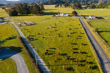 Cette image montre une vue aérienne d'une ferme de campagne avec des champs verts, des vaches qui paissent, des routes qui se croisent, des maisons éparses, des arbres et des collines lointaines sous un ciel bleu.