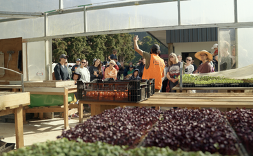 Un groupe de personnes écoute attentivement un guide à l'intérieur d'une serre remplie de jeunes plantes et de semis, profitant d'une visite éducative sur l'agriculture et l'élevage.