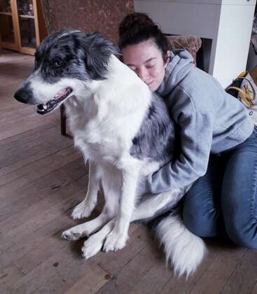 Das Bild zeigt eine Frau, die auf dem Boden kniet und einen großen schwarz-weißen Hund umarmt, dessen Oberkörper sie mit ihren Armen umschlungen hat.