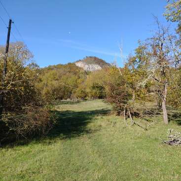 La imagen representa un paisaje sereno con un campo cubierto de hierba, árboles y una colina a lo lejos, sobre un cielo azul despejado.