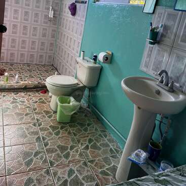 Este banheiro tem um lavatório com pedestal, vaso sanitário, lixeira verde, paredes em azul-petróleo, piso de azulejos estampados, produtos de higiene, um espelho e uma área de chuveiro. Funcional e simples.