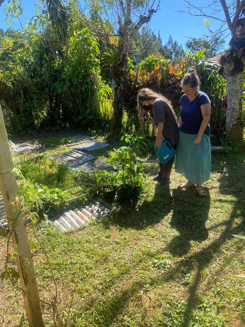 Duas mulheres estão em um jardim ensolarado, observando as plantas e a vegetação. Cercadas por árvores frondosas e vegetação exuberante, elas parecem estar envolvidas em atividades tranquilas de jardinagem ao ar livre.