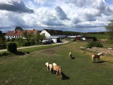 A imagem retrata uma paisagem rural serena com uma casa de fazenda branca, um celeiro vermelho e um grupo de cavalos pastando em um campo verdejante sob um céu nublado.