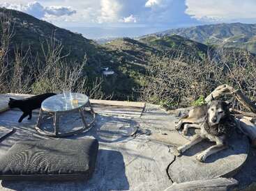 Um gato preto e um cachorro cinza relaxam ao ar livre em um terraço de pedra com almofadas e uma mesa de vidro, com vista para montanhas exuberantes e um litoral distante.