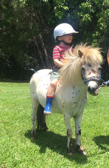 A young child wearing a helmet and blue boots sits happily on a small, spotted pony in a grassy outdoor setting, surrounded by green leafy trees.