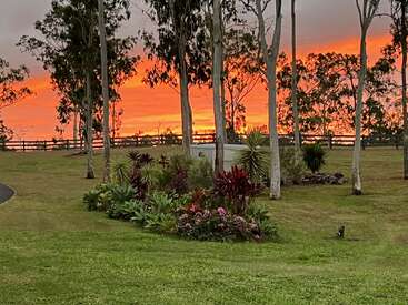 Ein leuchtend orangefarbener Sonnenuntergang strahlt hinter hohen Bäumen und üppigen Gartenpflanzen und beleuchtet einen ruhigen, grasbewachsenen Hof, der von einem rustikalen Holzzaun und Blumen umgeben ist.