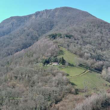 A solitary house sits nestled in a clearing on a forested hillside, surrounded by bare trees, with a mountain rising majestically in the background under clear skies.