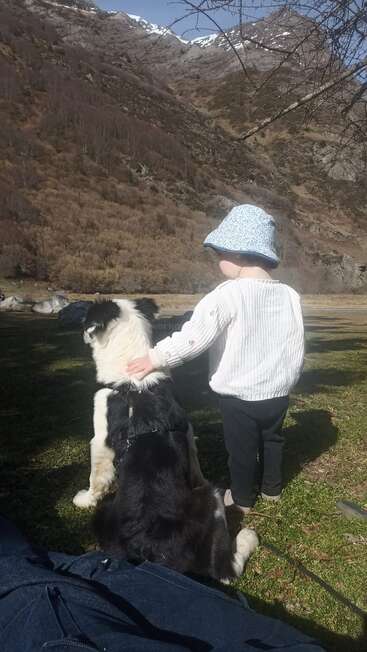 A toddler in a blue sunhat gently pets a black and white dog while standing outdoors in a scenic mountain valley under clear, sunny skies.