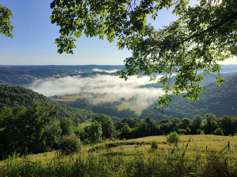 Eine ruhige Landschaft mit sanften grünen Hügeln, dichten Wäldern und tief liegendem Morgennebel. Das Sonnenlicht fällt durch die grünen Zweige und schafft eine friedliche, malerische und einladende Szene.