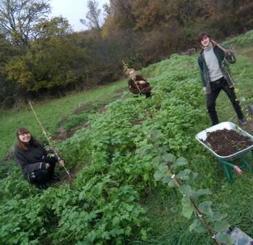 Trois personnes se trouvent à l'extérieur, dans un champ verdoyant, en train de planter ou d'entretenir de jeunes arbres. Une brouette remplie de terre se trouve près d'elles, entourée de végétation.
