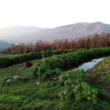 Unos frondosos arbustos bordean un pequeño estanque en el que se refleja la luz, rodeado de terreno cubierto de hierba. Los árboles de tonos marrones y las montañas en la lejanía crean un paisaje rural sereno y pintoresco al atardecer.
