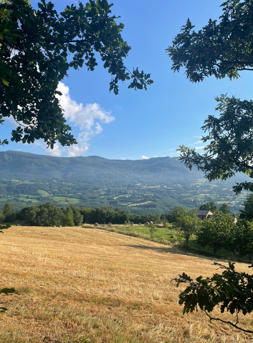 Golden harvested field bordered by green trees, overlooking a lush valley with scattered houses. Distant mountains under a bright blue sky, framed by leafy branches.