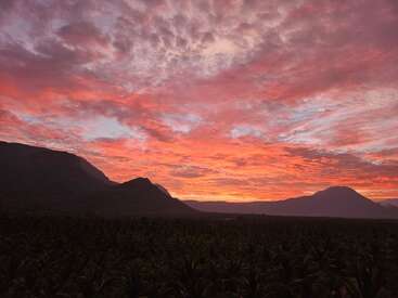 A breathtaking sunset colors the sky with vibrant shades of pink, orange, and purple above silhouetted mountains and a dense, dark green forest below. Peaceful atmosphere.