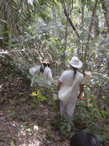 Duas pessoas vestidas com trajes tradicionais brancos e chapéus estão caminhando por uma densa floresta verde, cercadas por uma vegetação exuberante e pela luz do sol que se infiltra entre as árvores.