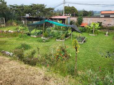 Esta imagen muestra un frondoso jardín trasero con parterres elevados, una malla de sombreo verde, diversas plantas y flores, rodeado de árboles, césped y un muro de ladrillo.