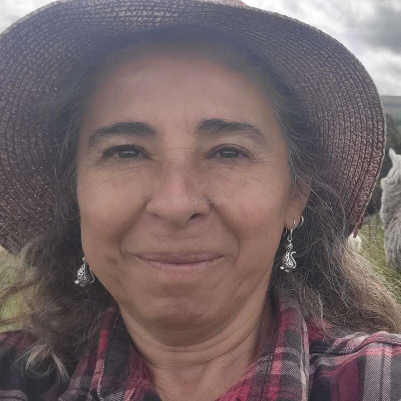 Una mujer con un sombrero de paja sonríe a la cámara, de pie en un prado junto a una manada de alpacas o llamas, con un cielo nublado a sus espaldas.
