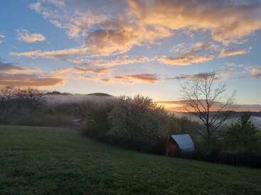 Un tranquilo paisaje rural al amanecer, con un prado, árboles dispersos, una ligera niebla, un pequeño cobertizo y nubes de colores iluminadas por la luz dorada del sol. Una mañana apacible.
